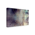 thumbnail image 2 of Trademark Fine Art 'Weathered Droplets' Canvas Art by Incredi, 2 of 2