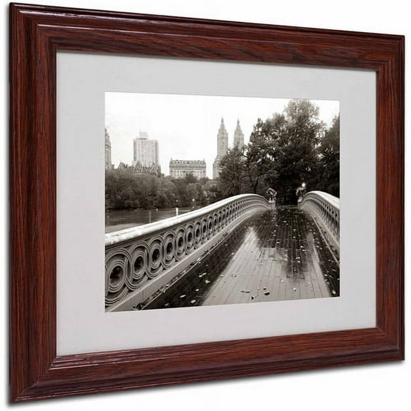 Trademark Fine Art "Bow Bridge 2010" Framed Canvas Art by Chris Bliss