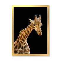 Designart 'Portrait of A Giraffe On Black Background II' Farmhouse Framed Art Print