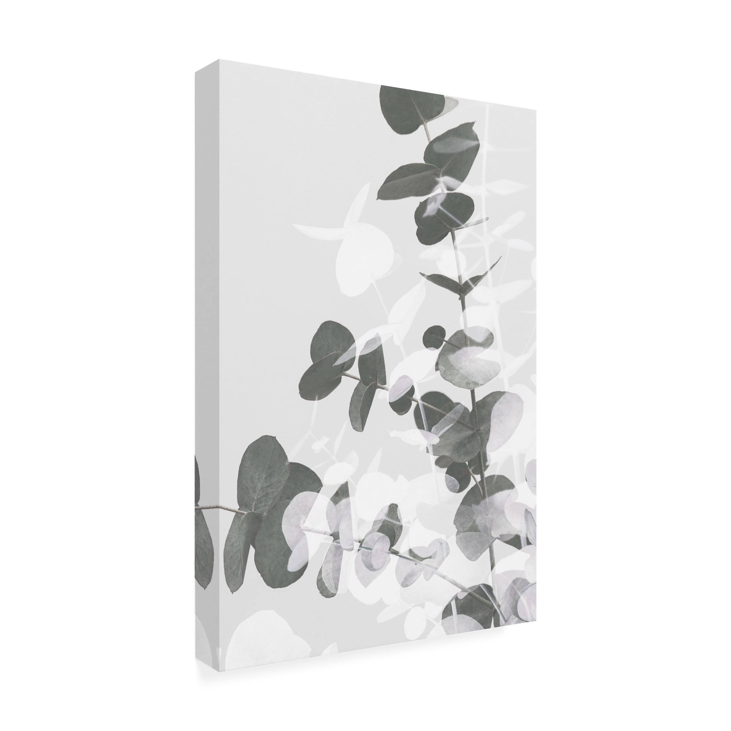 1x Studio III 'Eucalyptus Creative 09' Canvas Art