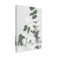 thumbnail image 4 of 1x Studio III 'Eucalyptus Creative 09' Canvas Art, 4 of 4