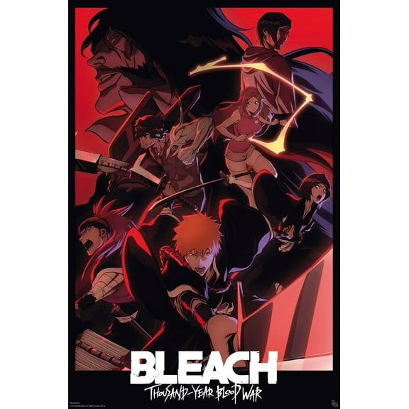 Bleach: Thousand-Year Blood War - Anime TV Show Poster (Ichigo Kurosaki, Friends & Enemies - Character Montage) (Size: 24" x 36")
