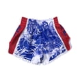 thumbnail image 3 of FLUORY Muay Thai Shorts Boxing Shorts Print Free Combat Mixed Martial Arts Boxing Training Match Pants Embroidery, 3 of 4
