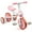 Pink, variant on Wdmiya 3-in-1 Toddler Bike for 2-4 Year Old Boys & Girls, Adjustable Seat, Removable Pedals & Training Wheels, Baby Balance Bike, Christmas & Birthday Gift, Blue