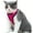 Pink, variant on Mr. Peanut's PurrTrek Reflective Cat Harness with Matching Leash