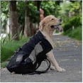 thumbnail image 1 of Pet Dog Carrier Travel Backpack Outdoor Ventilation Breathable Bicycle Motorcycle Outdoor Hiking Sport Mesh Bag Tw, 1 of 5