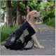 thumbnail image 1 of Pet Dog Carrier Travel Backpack Outdoor Ventilation Breathable Bicycle Motorcycle Outdoor Hiking Sport Mesh Bag Tw, 1 of 4