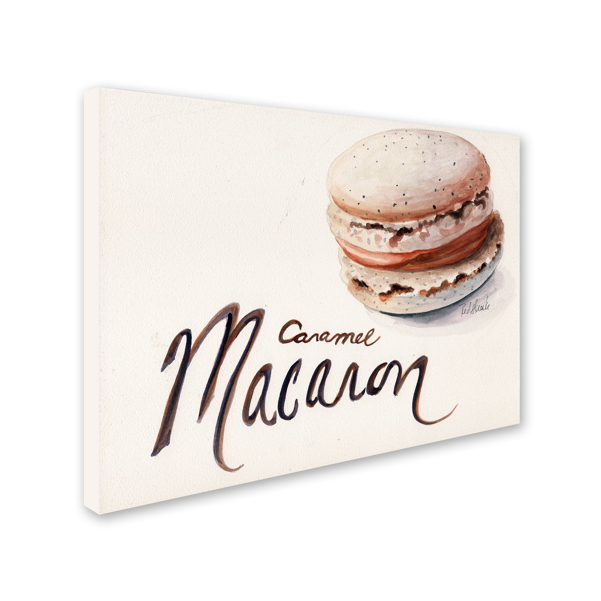 Trademark Fine Art "Caramel Macaron" Canvas Art by Jennifer Redstreake