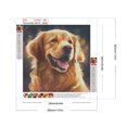 thumbnail image 2 of Pintura de diamante 5D DIY taladro redondo completo Golden Retriever arte artesanal 30x30cm, 2 of 9