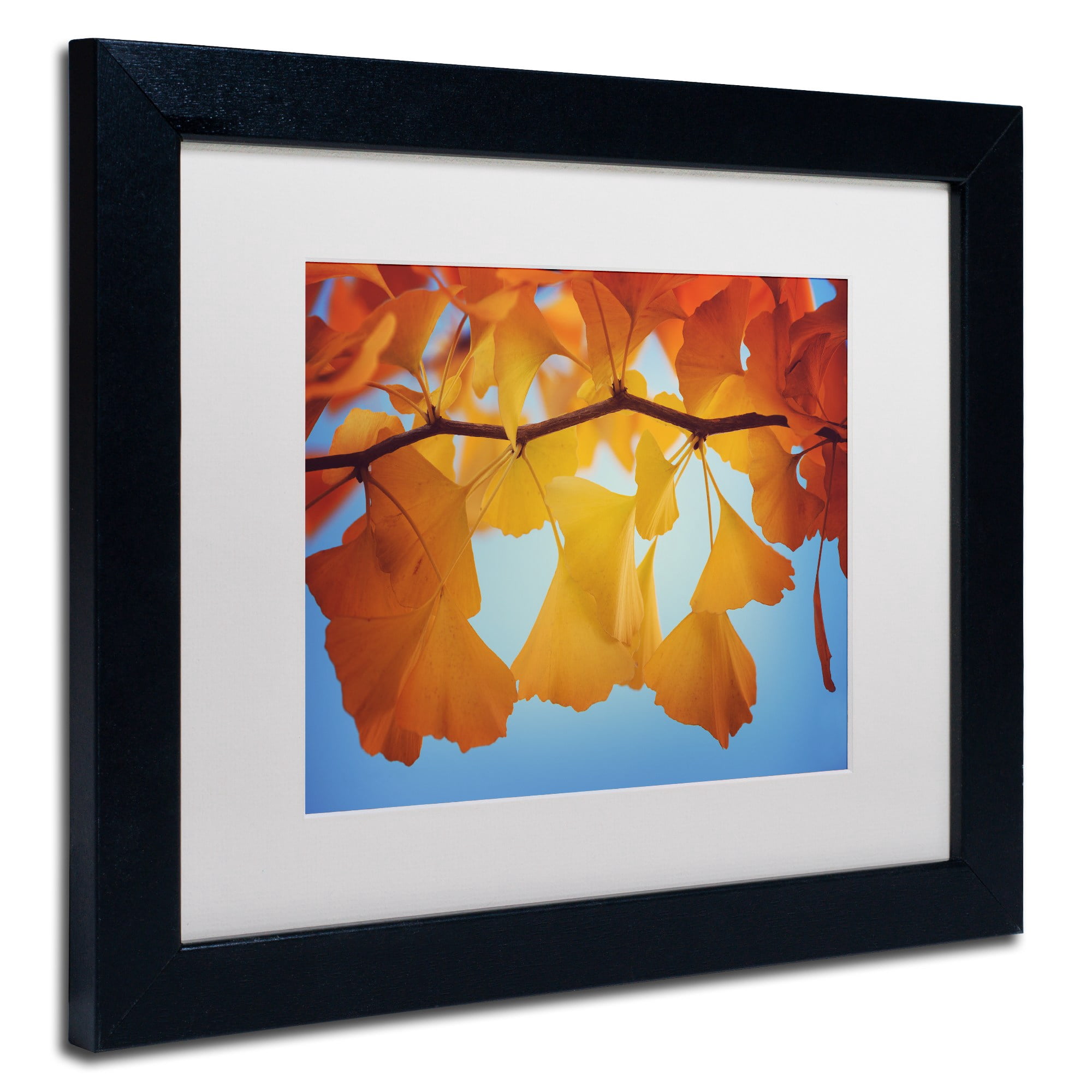 Trademark Fine Art "Spiritual Food" Canvas Art by Philippe Sainte-Laudy White Matte, Black Frame