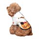 thumbnail image 5 of Fotbe Autumn Gnomes Sudadera con Estampado para Perros Pequeños – Suéter con Capucha para Mascotas, Tela Suave de Forro Polar con Bolsillo-Small, 5 of 7