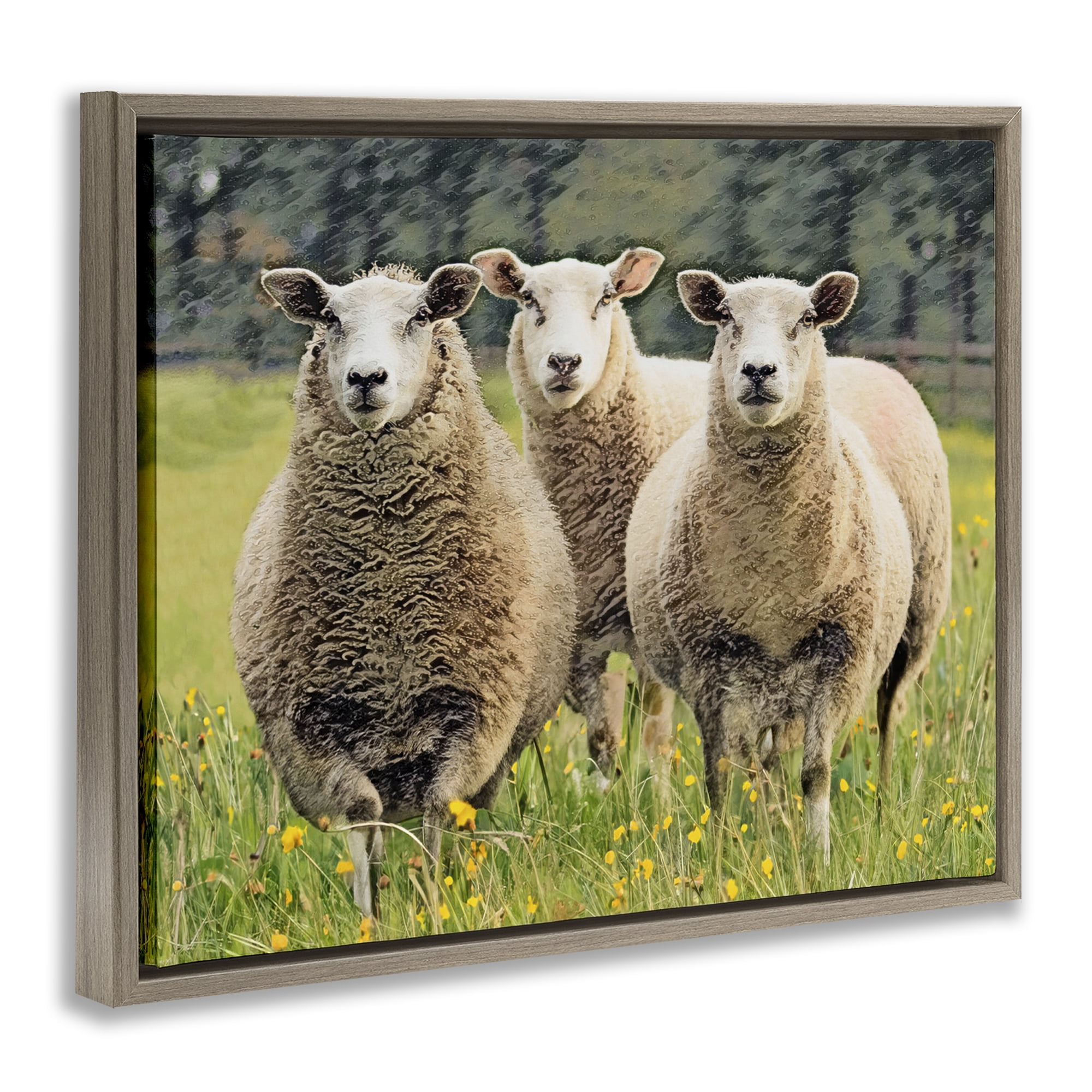 Stupell Industries Sheep Grazing in Grass Animals & Insects Painting Brown Floater Framed Canvas Art Print Wall Art, 21 x 17