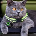 thumbnail image 6 of Cat Tracker, Pet Tracker iOS Android, Worldwide Location Tracking, Smart Pet Tracker Location Tracking Collar, Without Monthly Fees for Collars and Luggage, 6 of 9
