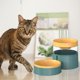 thumbnail image 4 of Tazones para Mascotas de Plástico, Alimentador de Mascotas Doble , Pequeño Perro Medio Gato Alimentación de Agua para Beber Bowls Holder F - Verde Salvador Gatos Beber Cuencos, 4 of 7