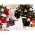 thumbnail image 2 of Mumup 1/2Pcs Christmas Cat Collar with Bow Tie Flower Sailor Bowtie Breakaway Safety Detachable Plaid Kitten Cats Pet Cute B Sailor Bow from 7" to 11", width 0.4", 2 of 6
