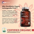 thumbnail image 2 of OmniBiotics Organic Ashwagandha Supplement – 1300mg Total Strength – 900mg Organic Root Powder & 400mg KSM-66 Extract – Stress Relief, Mood & Sleep Support – Non-GMO – 120 Vegan Capsules, 2 of 6