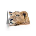 thumbnail image 2 of Lioness Relaxin Head Cute Big Cat Greetings Card Plus Envelope Blank inside, 2 of 3