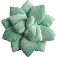 thumbnail image 1 of Jolie Succulente Cactus, Lit Maison R Nouveauté P Cush, 1 of 5