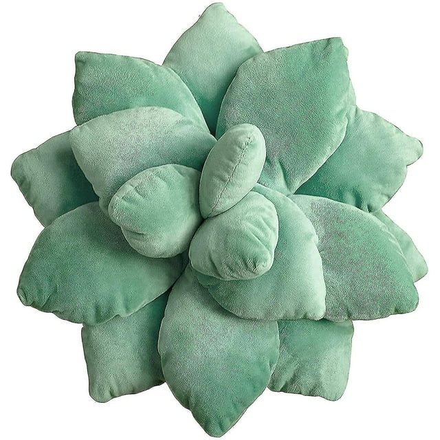 Jolie Succulente Cactus, Lit Maison R Nouveauté P Cush