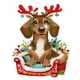 thumbnail image 3 of Navidad Acrílico Sacudiendo La Cabeza Dachshund Escritorio Diamante Pintura Arte para, 3 of 7
