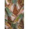 thumbnail image 2 of Head, Danny 23x32 White Modern Wood Framed Museum Art Print Titled - Palm Trunk Detail II, 2 of 4