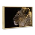 thumbnail image 3 of Stupell Industries Transitional Gold Floating Frame Canvas Art, 25 x 17, by Danita Delimont, 3 of 9