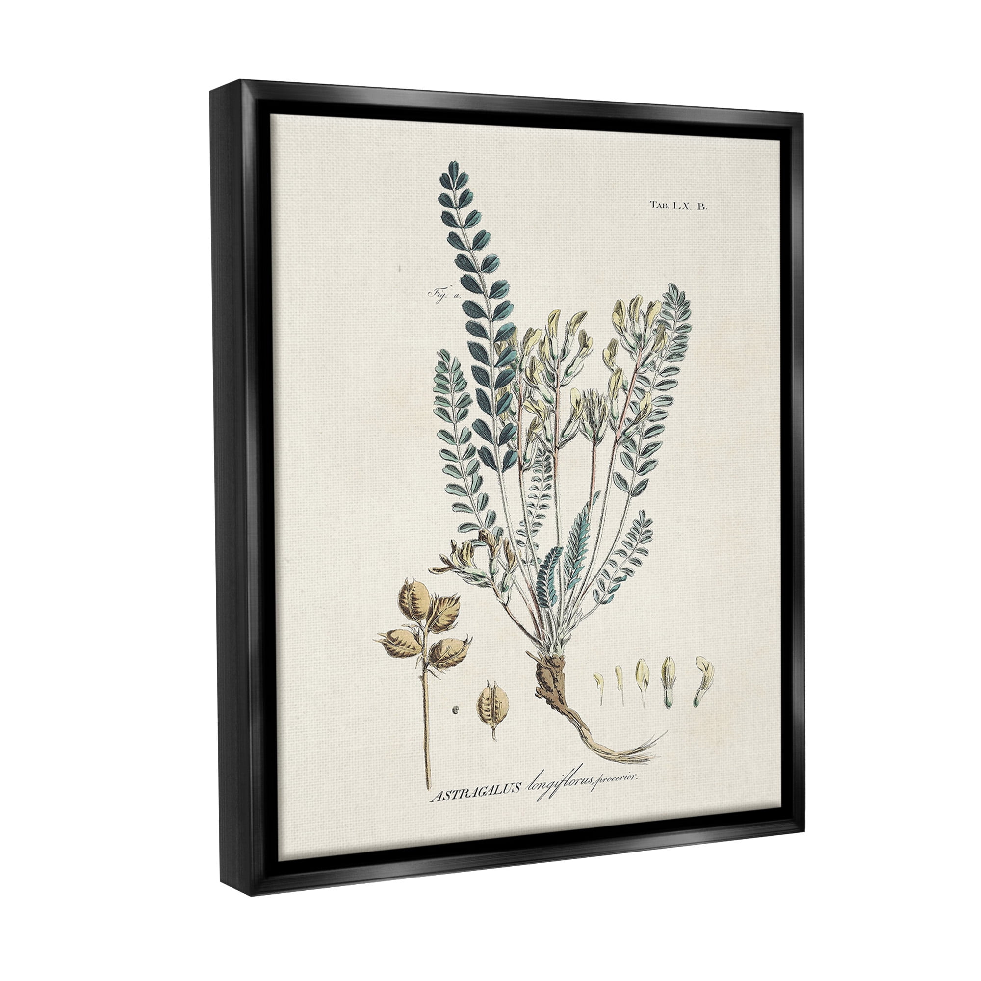 Stupell Industries Nature Leaves & Seeds Botanical & Floral Painting Black Floater Framed Canvas Art Print Wall Art, 17 x 21
