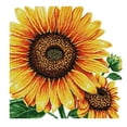 thumbnail image 4 of Abbracc Pattern Stamped Cross Stitch Kits for Beginners Handmade Craft 14CT 49x48cm 14CT, 4 of 8