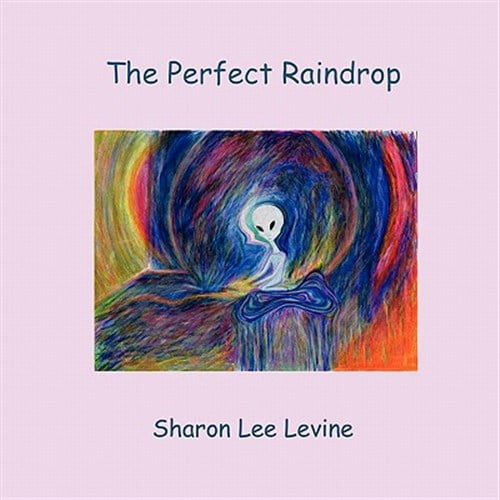 Pre-Owned The Perfect Raindrop