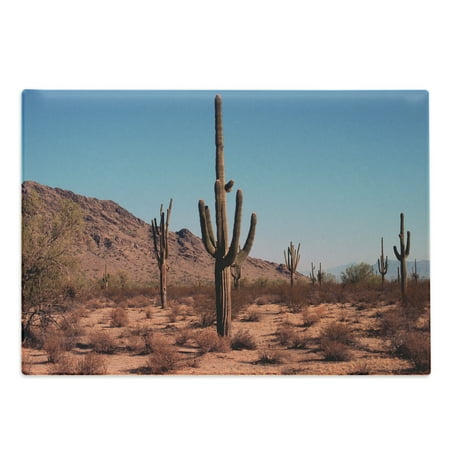 

Saguaro Cutting Board Grown Prominent Cacti with the Spines Hardy Plants Clear Sky Landscape Picture Decorative Tempered Glass Cutting and Serving Board Large Size Brown Blue by Ambesonne