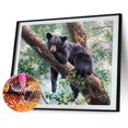 thumbnail image 1 of Cuadros Decorativos 5D DIY Diamond Painting Kits Black Bear Full Round Drill Wall Decor Art Crafts Tmvgtek embutido en tela, 1 of 9