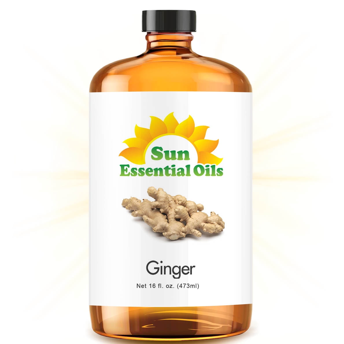 Ginger Essential Oil (Huge 16oz Bottle) Bulk Ginger Oil 16 Ounce