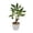 #0722-Green*B, variant on Cheapark Artificial Money Tree Bonsai Faux Floral Potted Decor lucky themed faux bonsai for living room entryway office elegant indoor home decorative potted ornament Gift