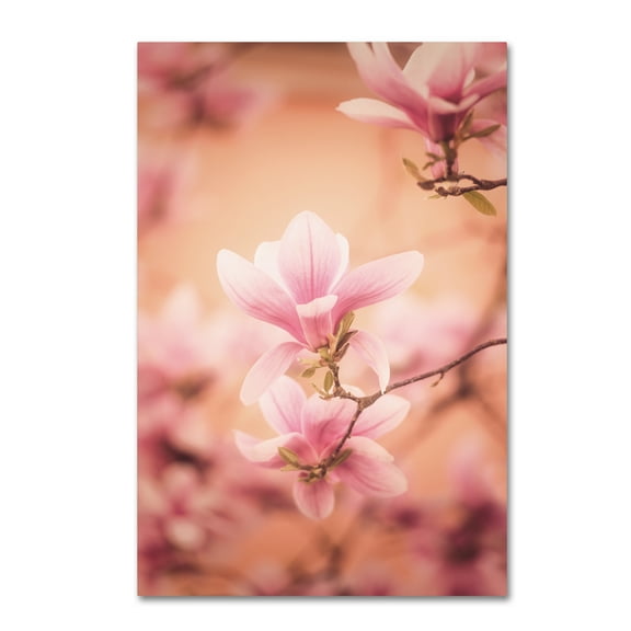 Trademark Fine Art 'Girls of Spring' Canvas Art by Philippe Sainte-Laudy