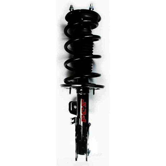 Suspension Strut and Coil Spring Assembly