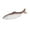 B, variant on Fish Barrettes Hairpin Hair Clip Dried Fish Prank 2000s Seafood Bunches Headwear Funny Dried Fish Shape