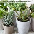 thumbnail image 7 of 2.5 Pound Black Lava Rocks for Plant, Succulent, Landscaping, Top-Dressing, Pure Volcanic Rocks, 1/5 Inch, 7 of 7