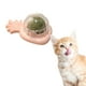 thumbnail image 2 of 2025 Nuevo Chew Juguetes para Gatos Lick Dientes Limpieza Gato Juguetes Pared, 2 of 4