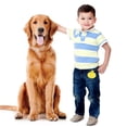 thumbnail image 7 of YIFAEUX Silicone Dog Treat Pouch Puppy Snack Bag Fanny Pack with Clip Portable Dog Food Carrier Holder for Outdoor Training, 7 of 7