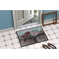 thumbnail image 4 of Carolines Treasures 8981MAT Red Bird Feeding Indoor or Outdoor Mat- 18 x 27 in., 4 of 4