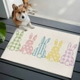 thumbnail image 5 of Easter Bunny Bathroom Rug Washable 2x3 Entryway Rug Non Slip Farmhouse Rabbit Butt Polka Dot Spring Front Door Mat Low Pile Indoor Doormat Throw Floor Carpet for Kitchen Bedroom Entrance, 5 of 8