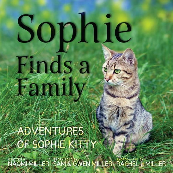 Adventures of Sophie Kitty Sophie Finds a Family, Book 1, (Paperback)