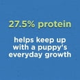 thumbnail image 3 of Puppy Chow Complete with Real Chicken Dry Dog Food, 11.4-kg bag, 3 of 5