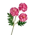 thumbnail image 2 of Artificial Ranunculus Flowers Bouquet 3 Heads – High End Faux Peony Stems for Home Decor, Wedding Centerpieces, Office and Table Arrangements, 2 of 6