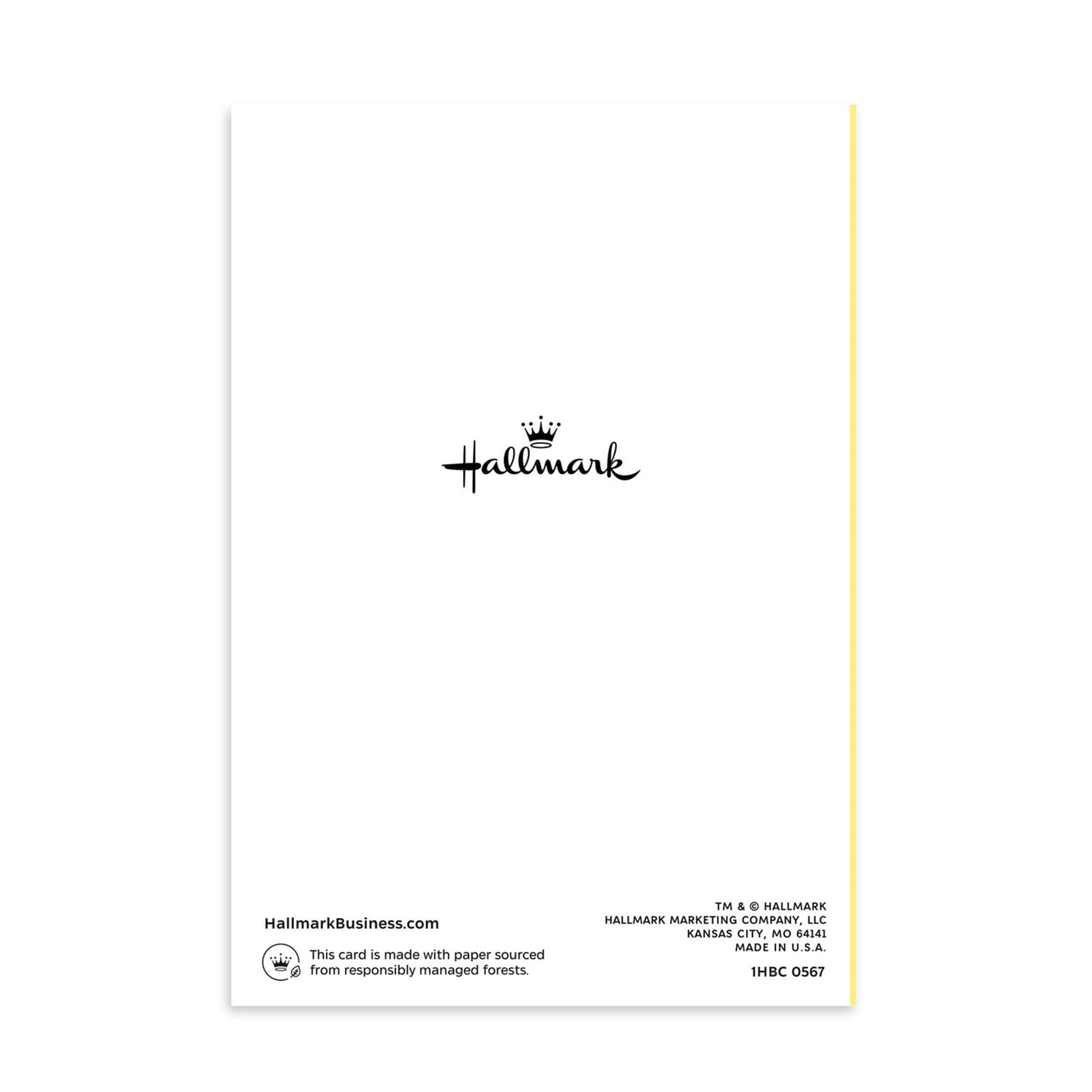 Hallmark Business Bulk Birthday Cards (Colorful Candles and Cake ), 25 ct.