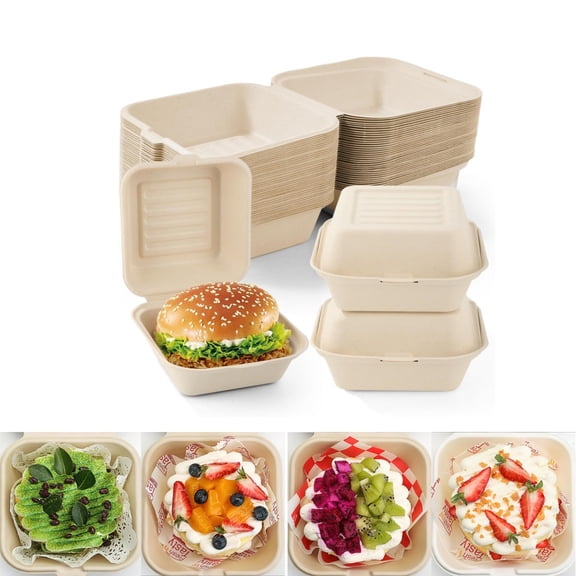 Disposable Sandwich Containers,20pack Clamshell Take Out Food Containers,QZS Portable Cake Box for Camping,Indoor and Outdoor