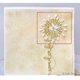 thumbnail image 3 of Flower Metal Cutting Dies Stencil Diy Scrapbooking Album Stamp Paper Card Emboss, 3 of 5