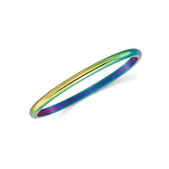 Stainless Steel Rainbow Plated Bangle Bracelet (4mm)