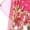 Hot Pink, variant on XXWXYD 6PC Cultural Dance 𝐂ostume Set for Girls, Handmade Coin Belt + Chiffon Skirt - Middle 𝐄astern Belly Dancing Performance Accessories Age 3-10