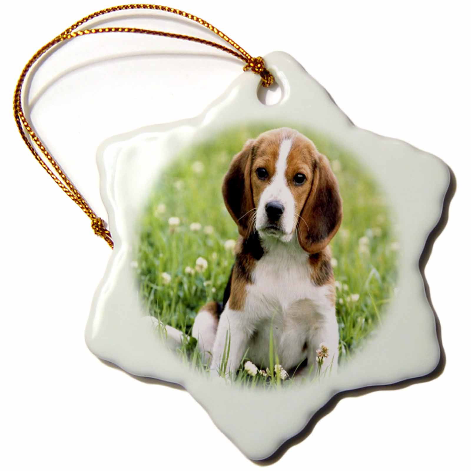 3dRose For Love Of A Beagle, Snowflake Ornament, Porcelain, 3-inch ...